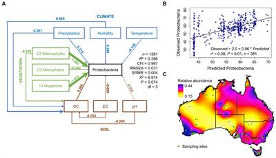 Linking niche size and phylogenetic signals to predict future soil microbial relative abundances